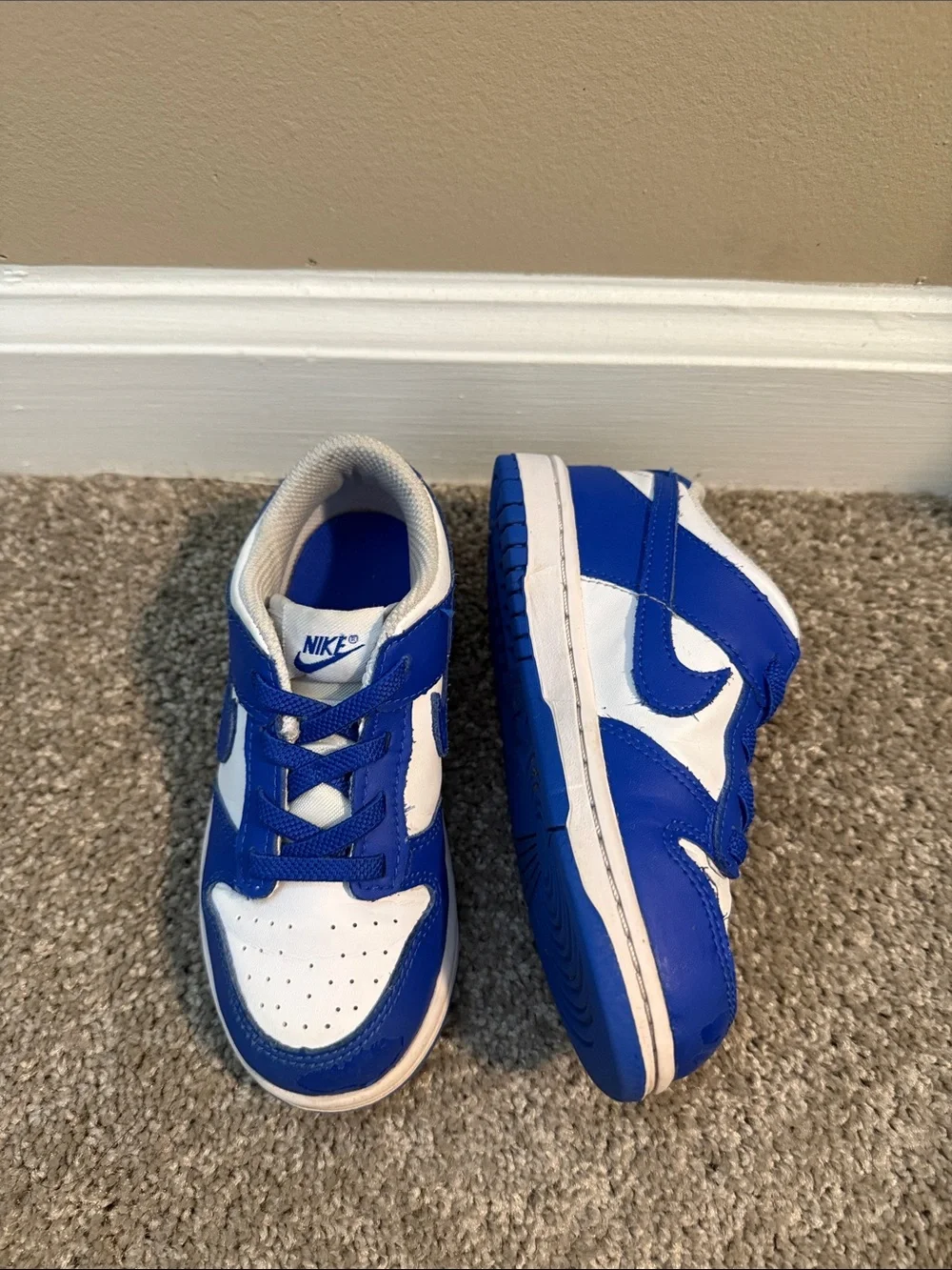 Toddler Nike Dunks